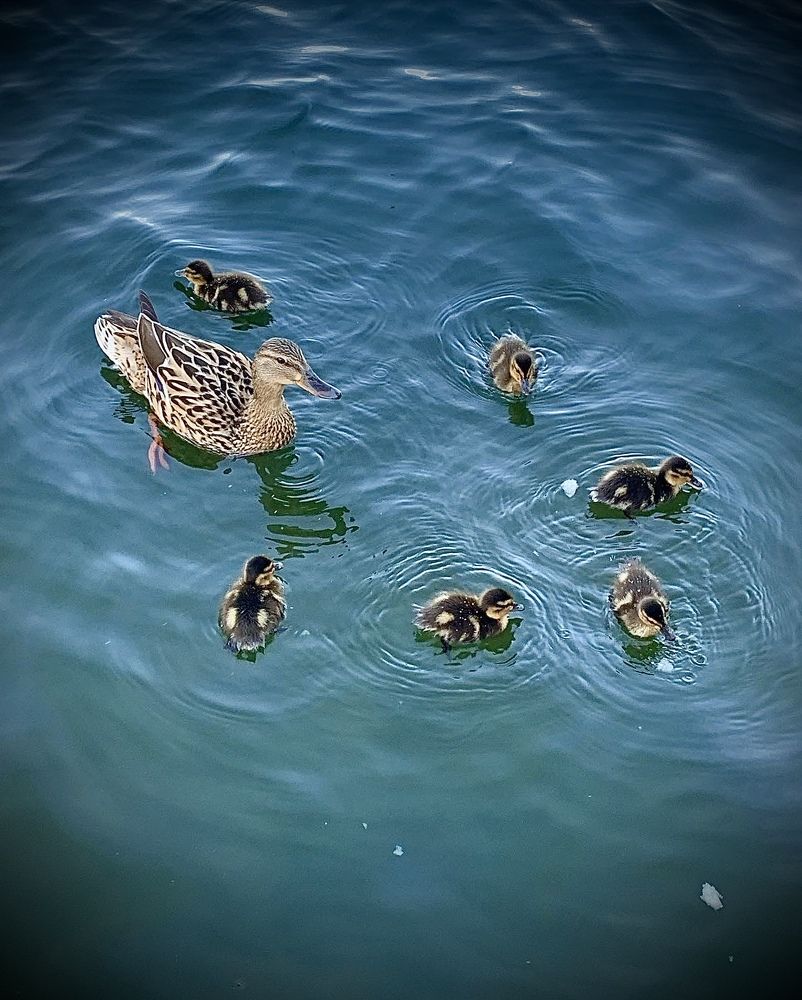 Photograph by Елена Киселева