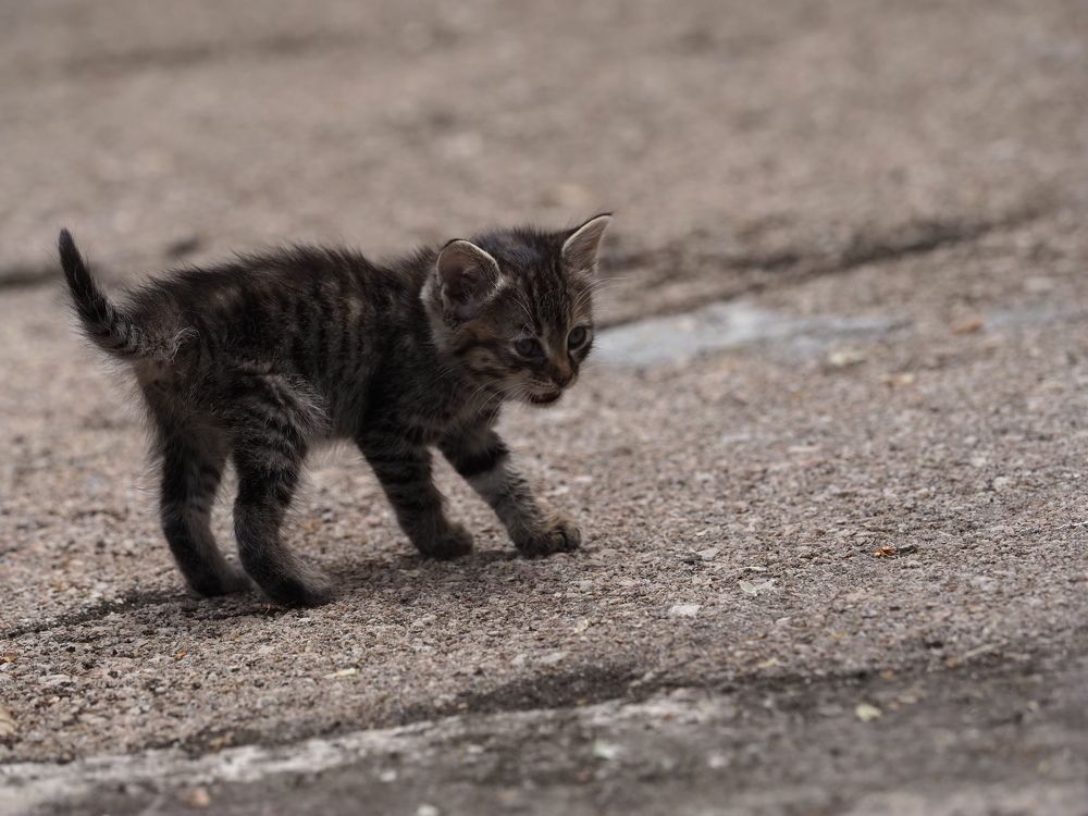 Photograph by Сергей Борисов