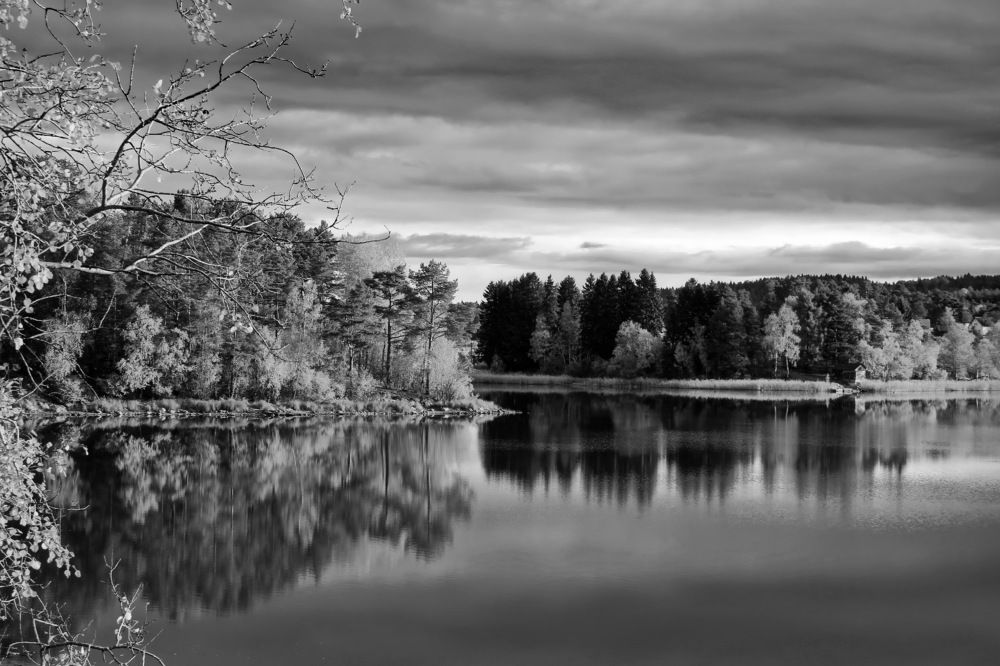 Photograph by Станислав Староверов