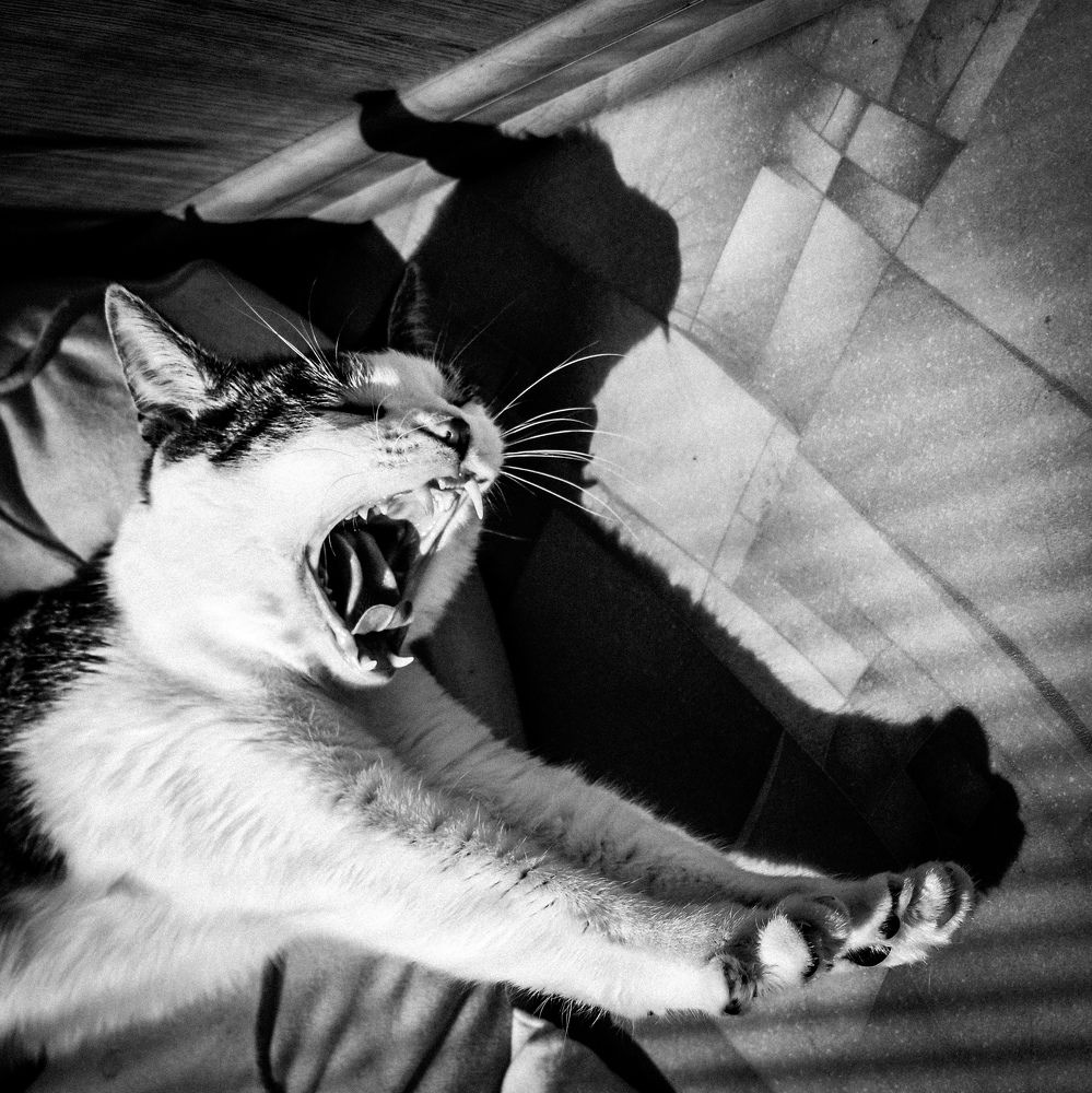 Photograph by Ольга Пономарева