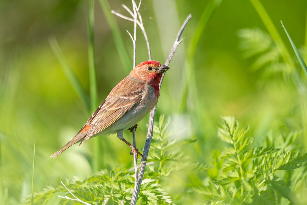 Photograph by Андрей Клыпин