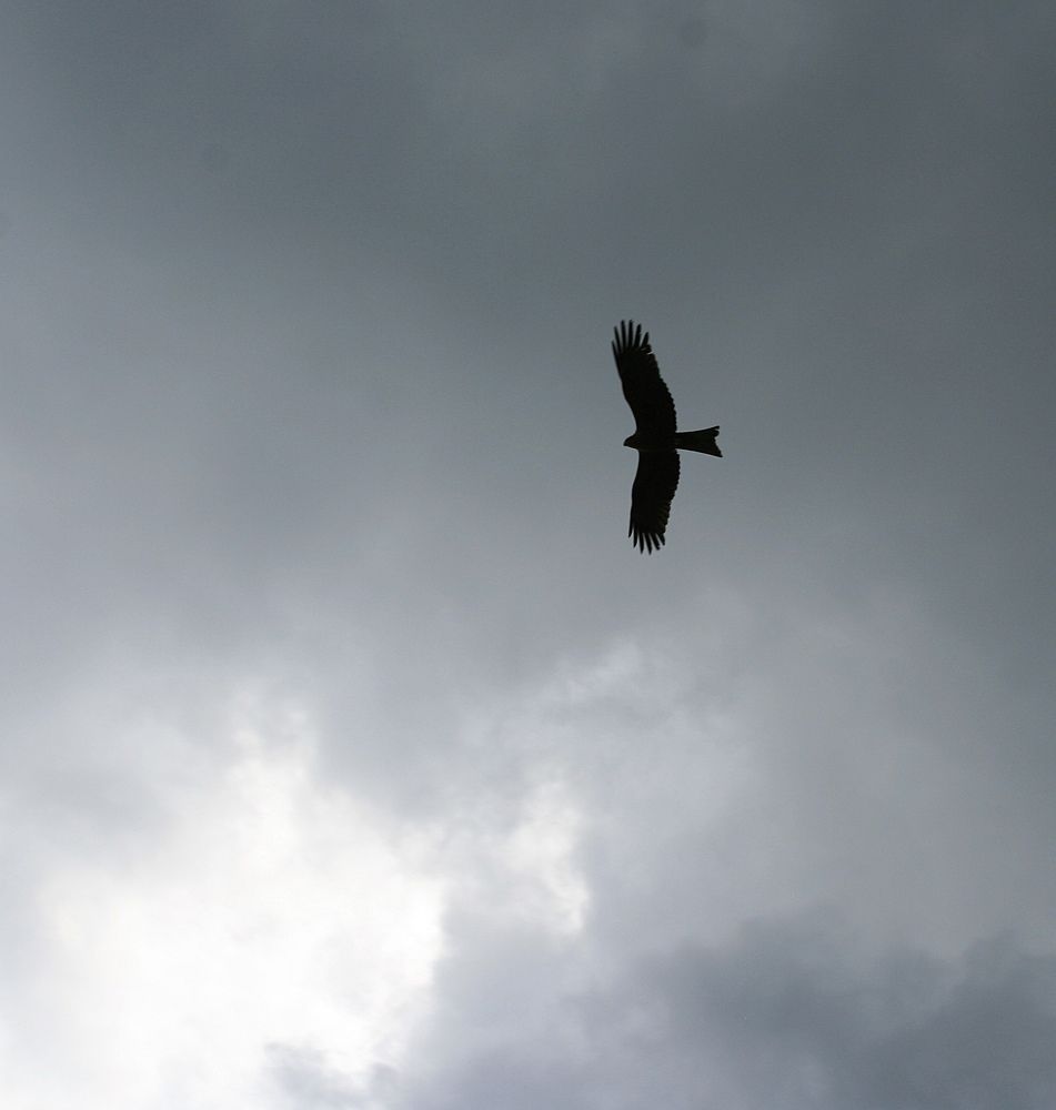 Photograph by Кунц