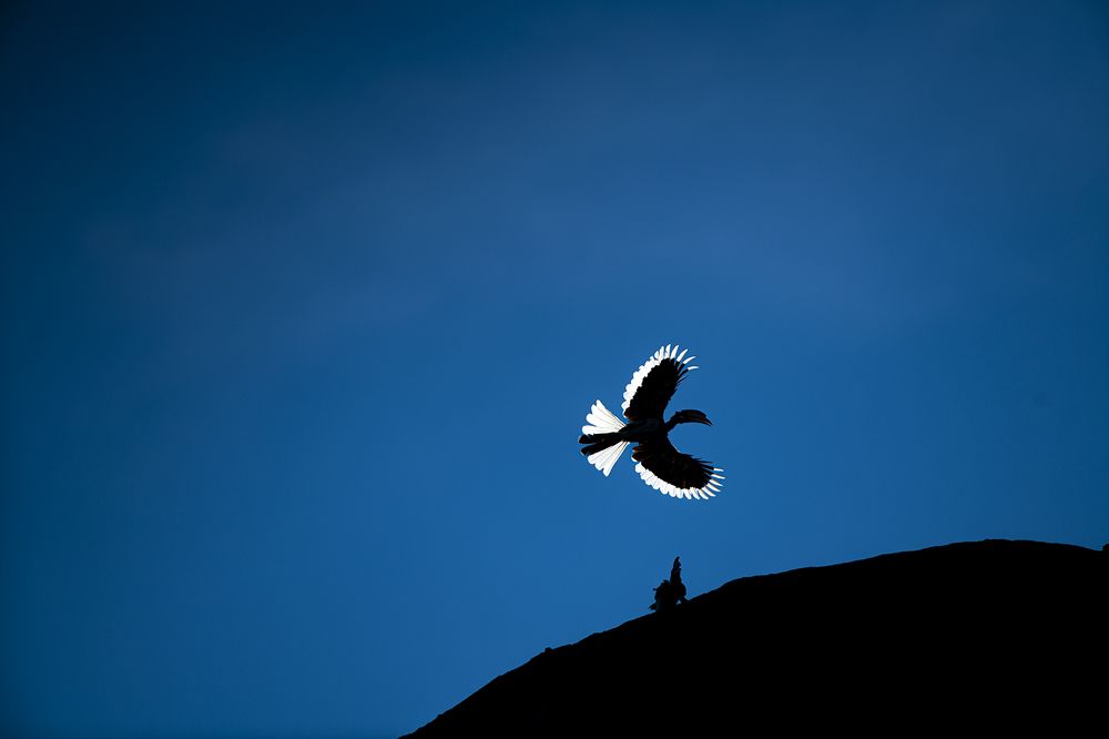 Photograph by Dhananjaya Dassanayake