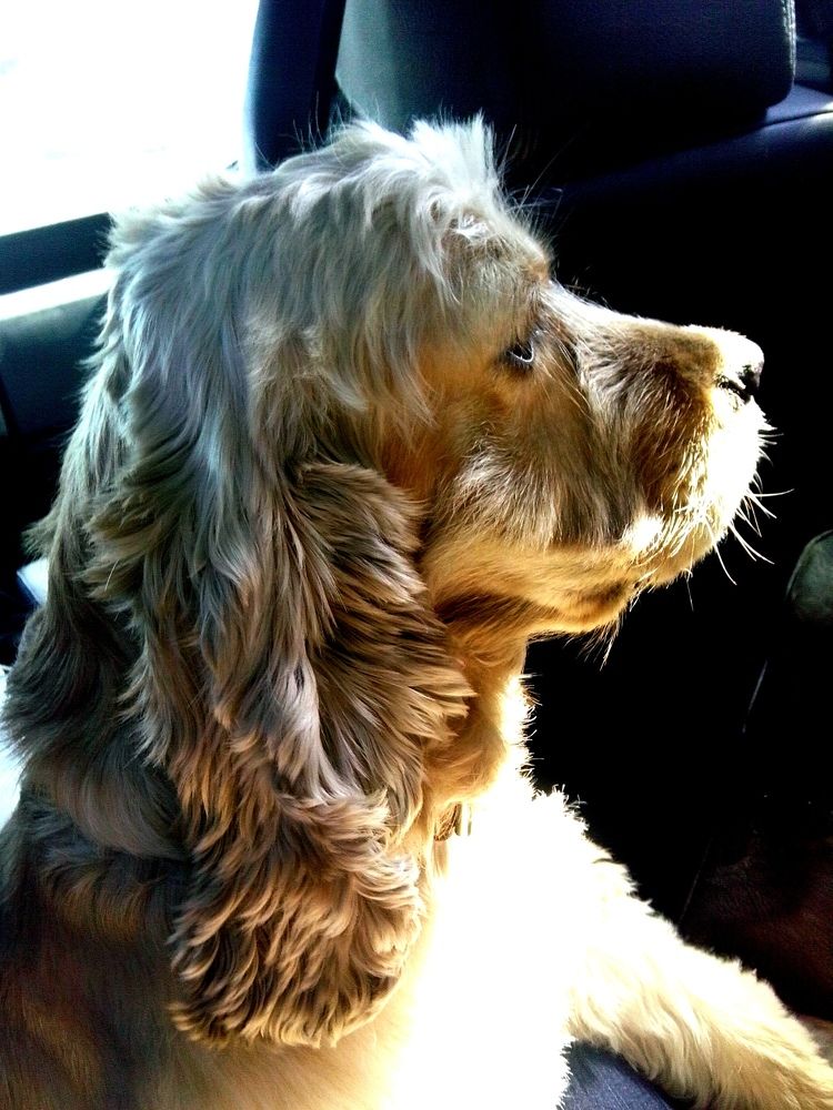 Photograph by Кунц