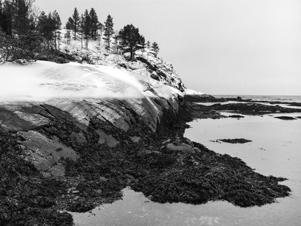 Photograph by Юлия Золотухина