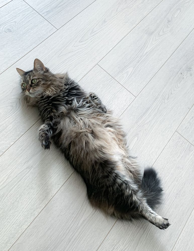 Photograph by Екатерина Меньшакова