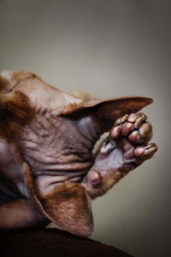 Photograph by Абрамова Аксинья