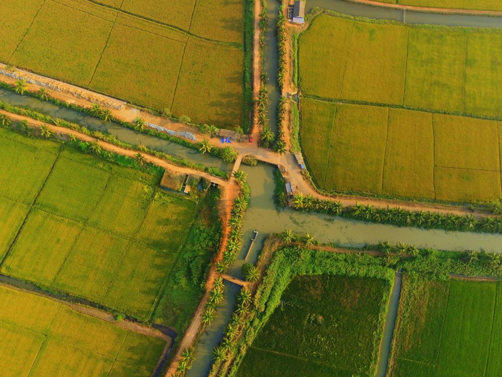 Photograph by Ajay Pangil