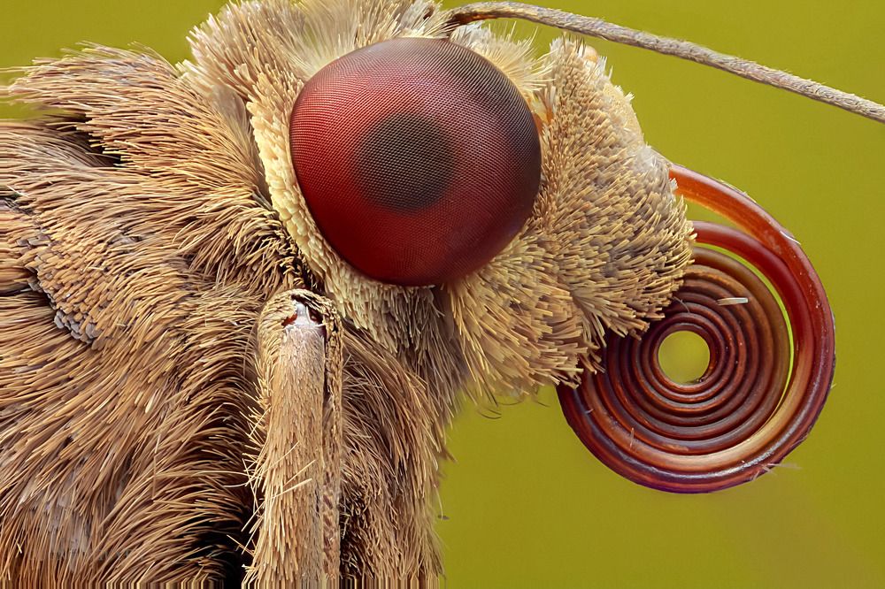 Photograph by Nguyen The Cuong