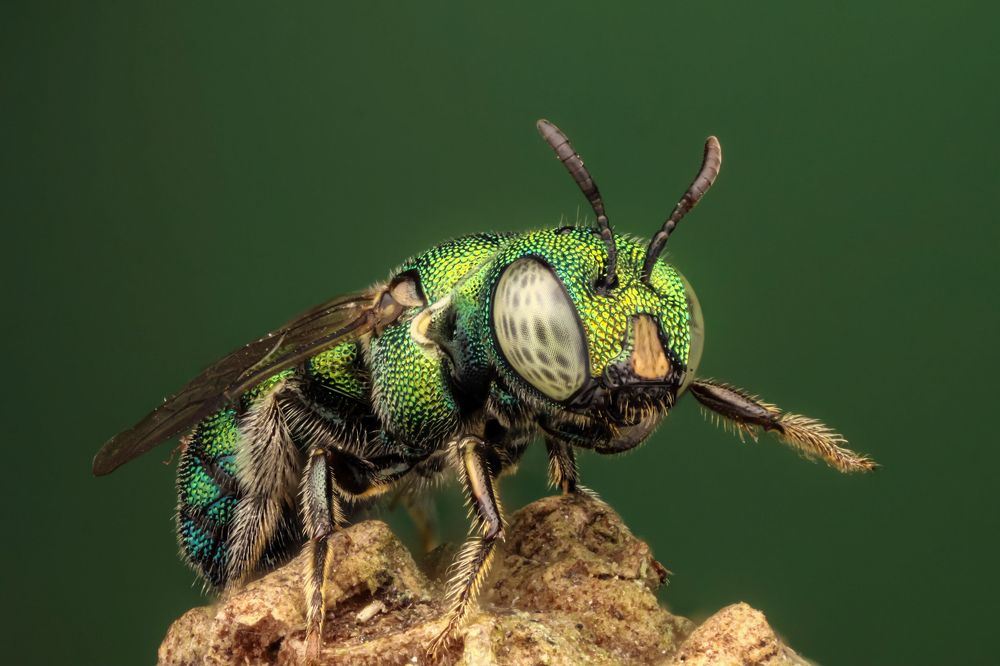 Photograph by Nguyen The Cuong