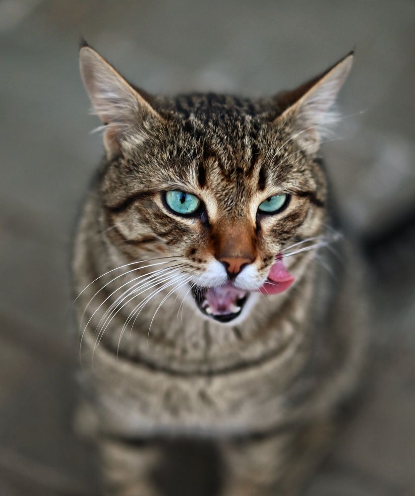 Photograph by Anna Parshenko