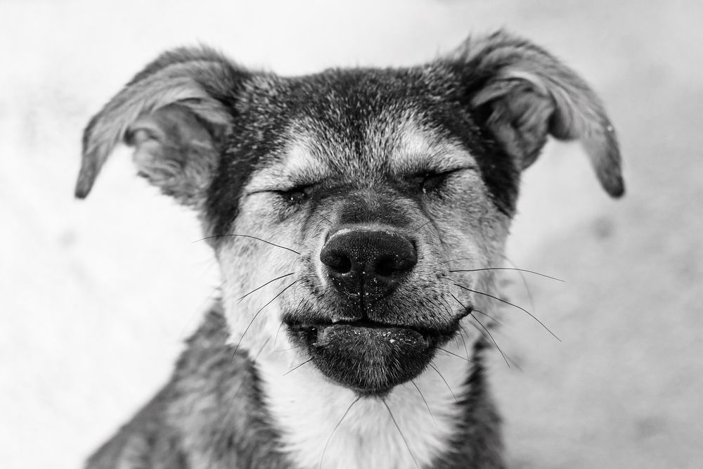 Photograph by Anna Parshenko