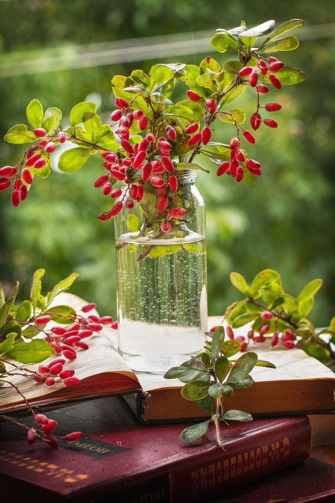 Photograph by Надежда Ржевская