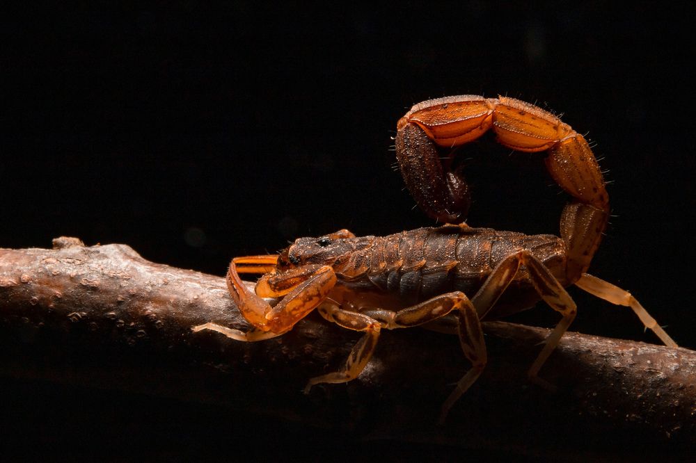 Photograph by Vivek Sundaram