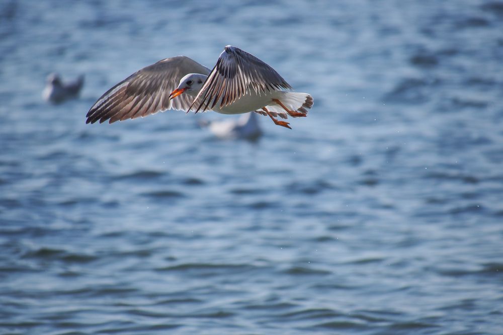 Photograph by Yana Marinova