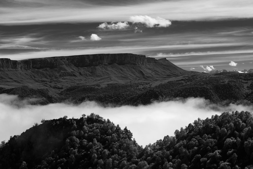 Photograph by Yulia Sosedova