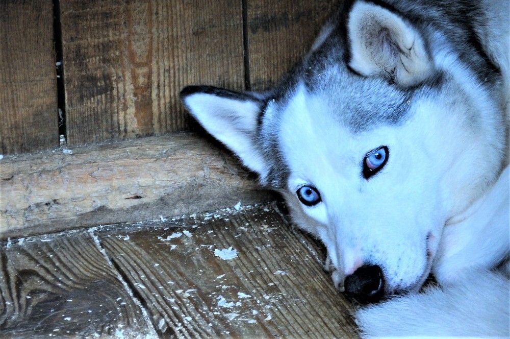 Photograph by Галина