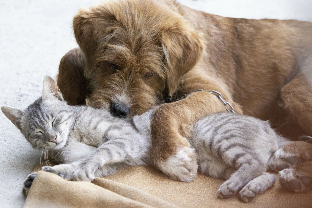 Photograph by Sourav Mahant