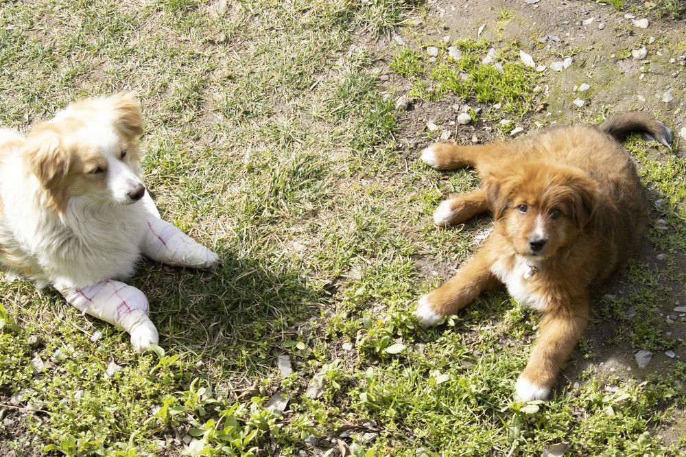 Photograph by Sourav Mahant