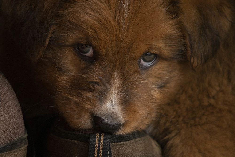 Photograph by Sourav Mahant