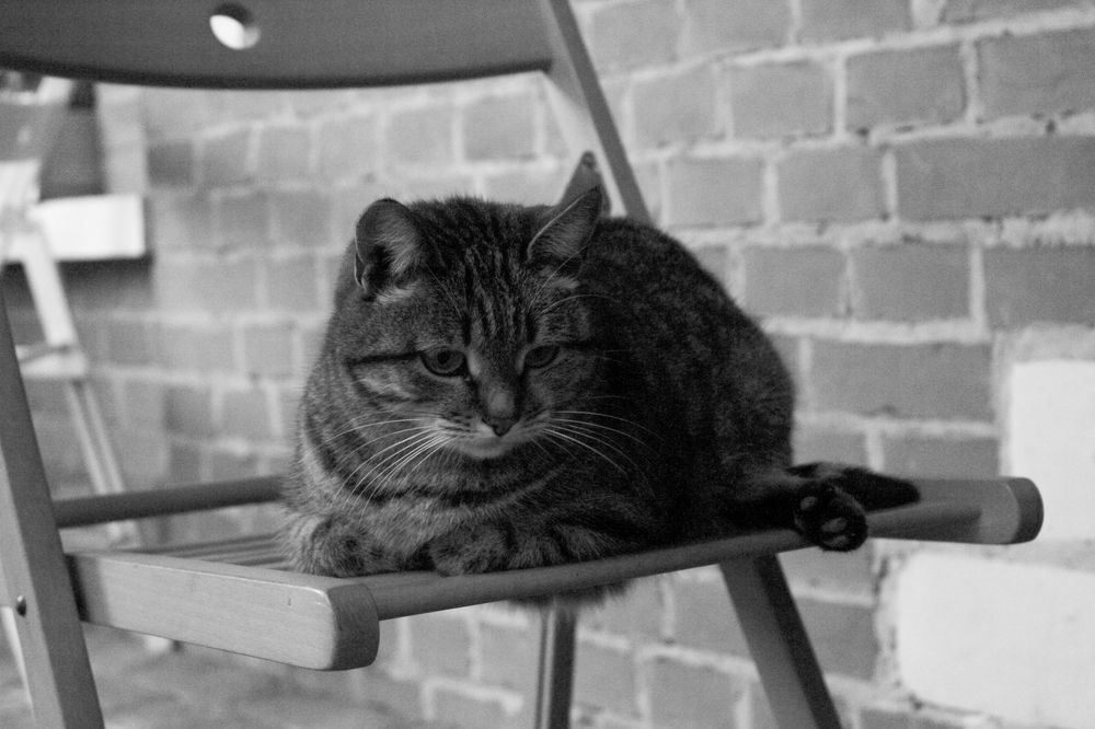 Photograph by Яна Токунова