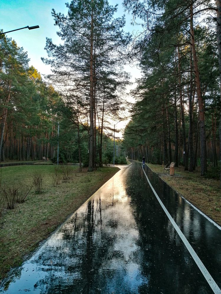Photo #7687532