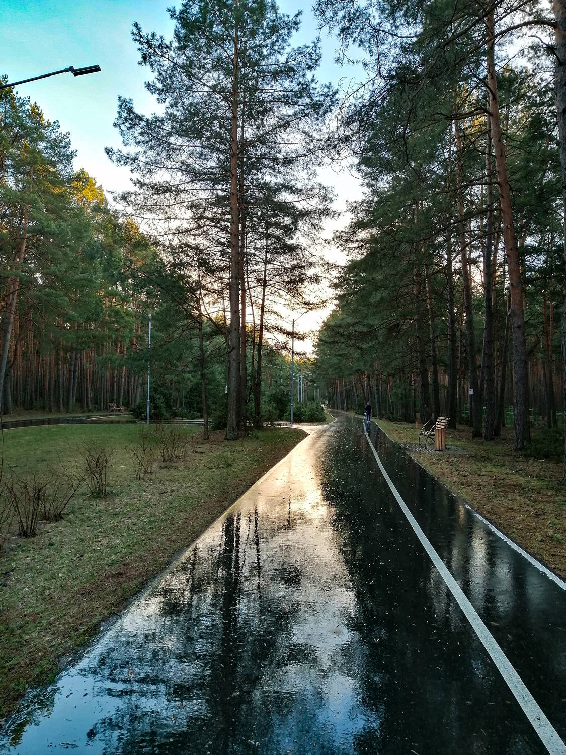 Photo #7687532