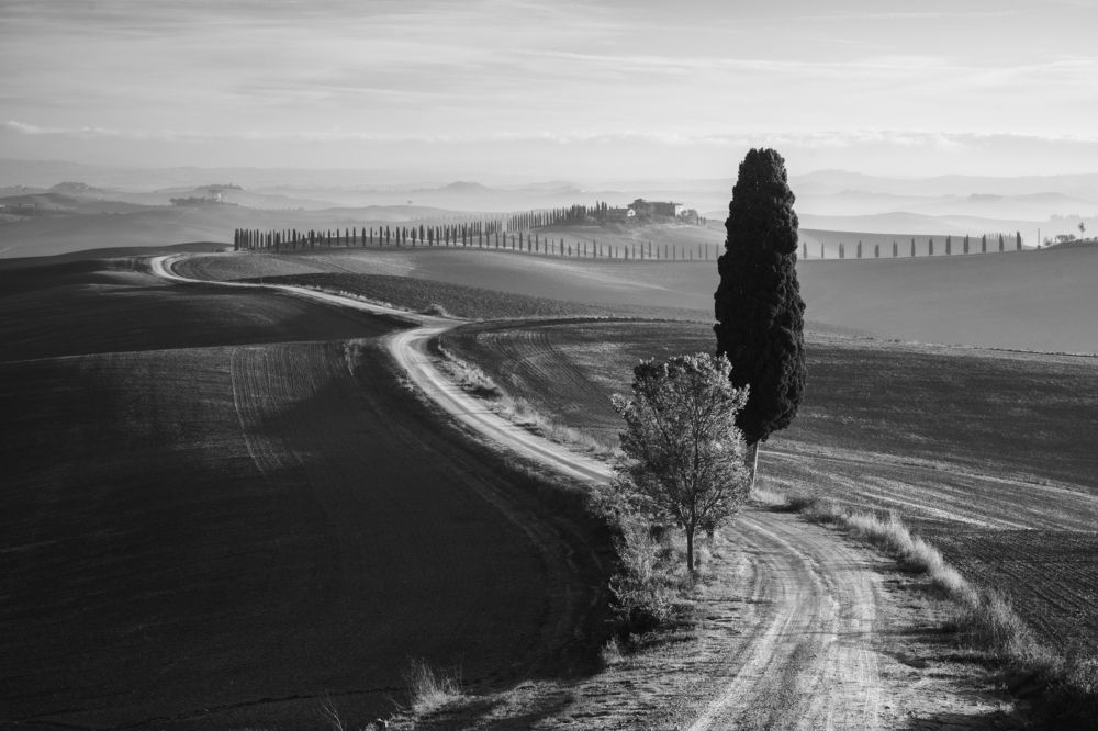 Photograph by Антон Ростовский