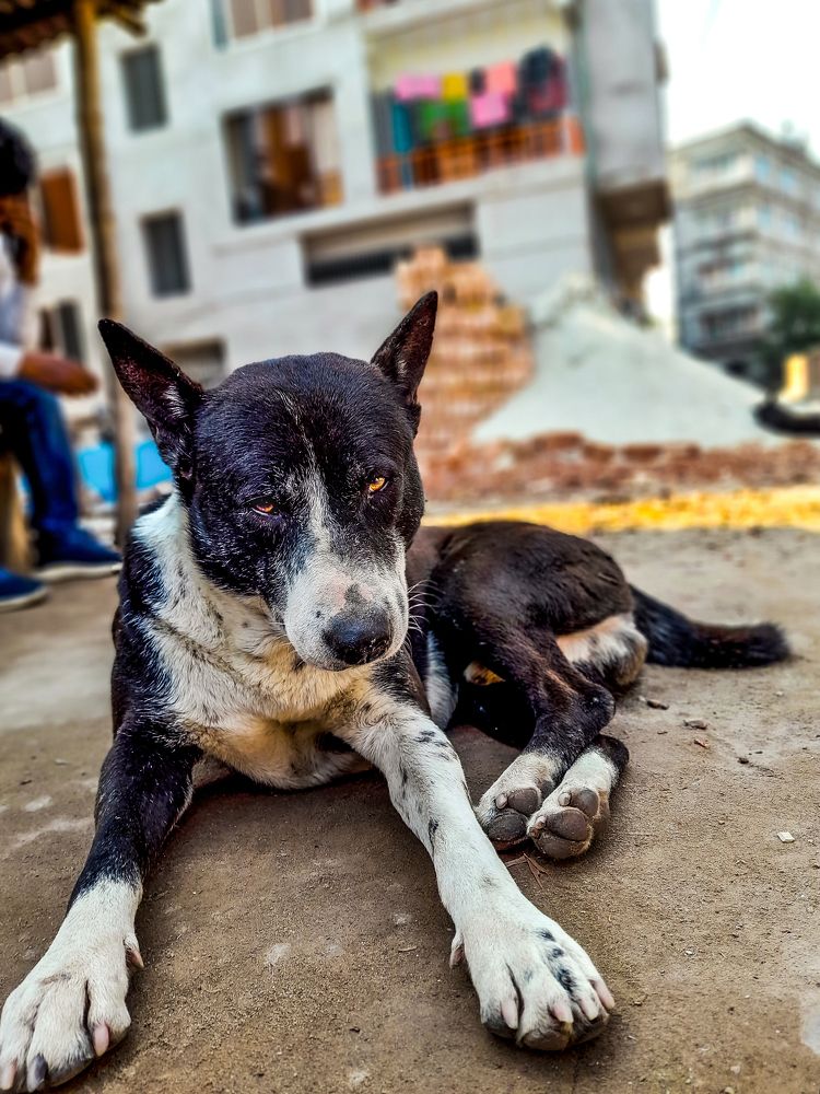 Photograph by Mehedi Hasan Srabon