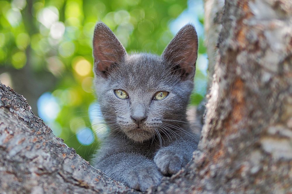 Photograph by Yana Marinova