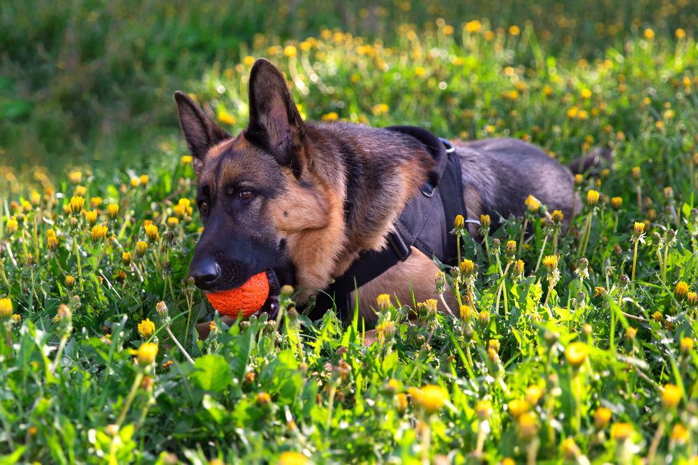 Photograph by Надежда Шевченко