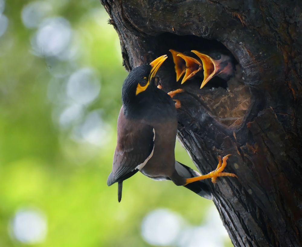 Photograph by Sourin Kastha