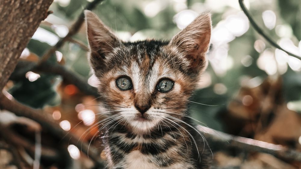 Photograph by Yana Marinova