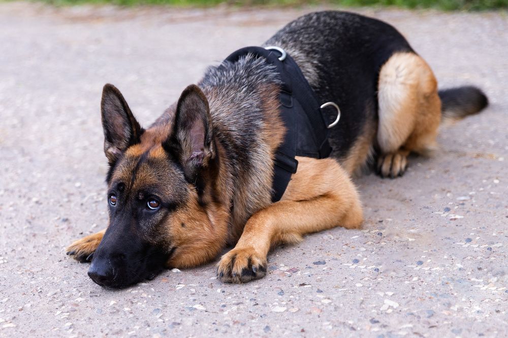 Photograph by Надежда Шевченко