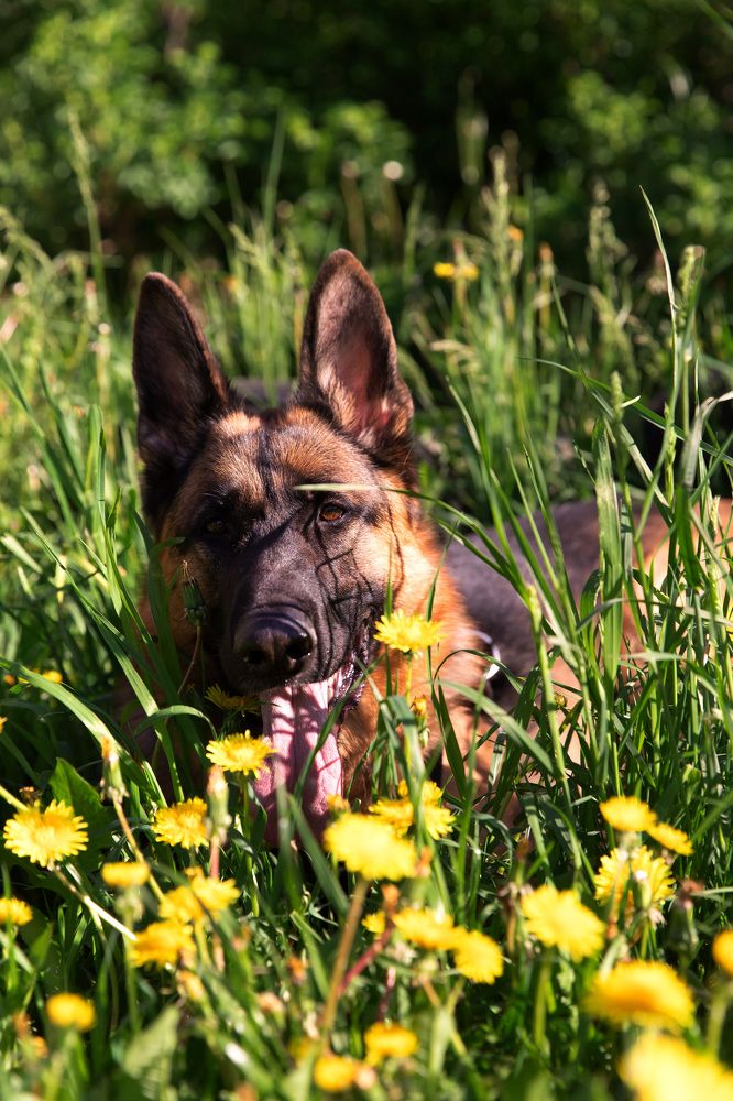 Photograph by Надежда Шевченко