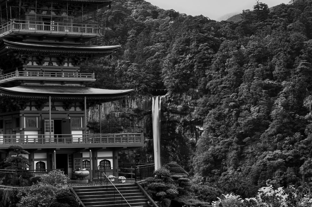 Фотография автора Sen Abhijit