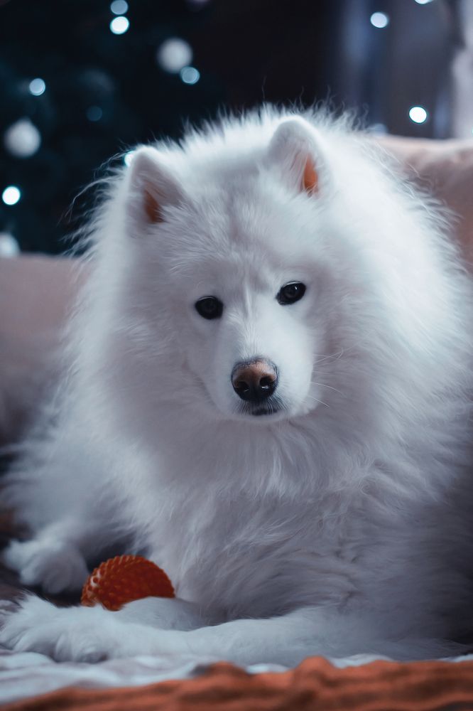 Photograph by Юлия Усенко