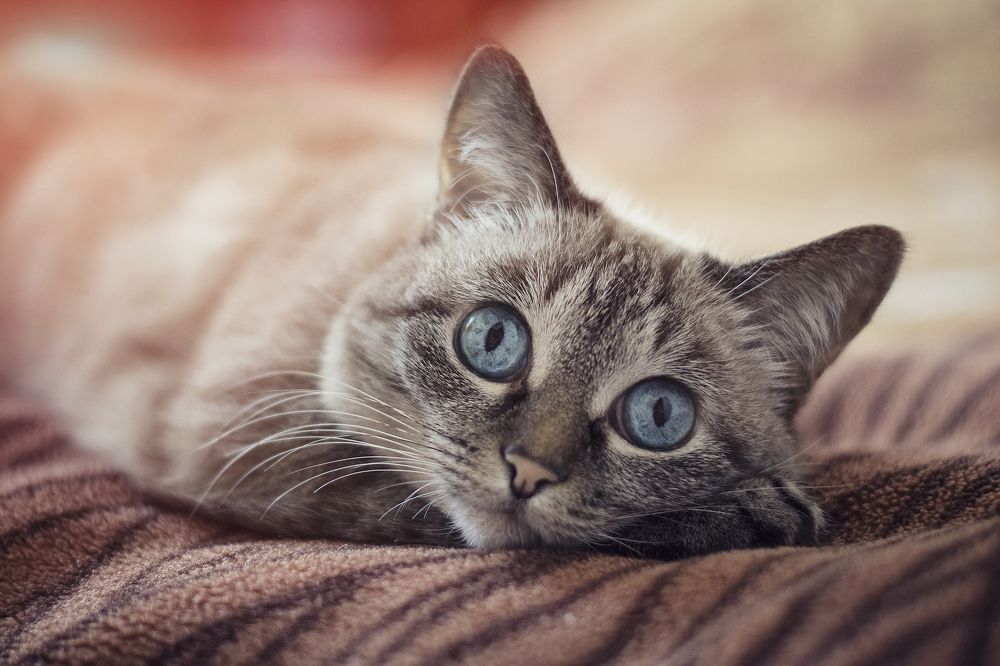 Photograph by Юлия Усенко