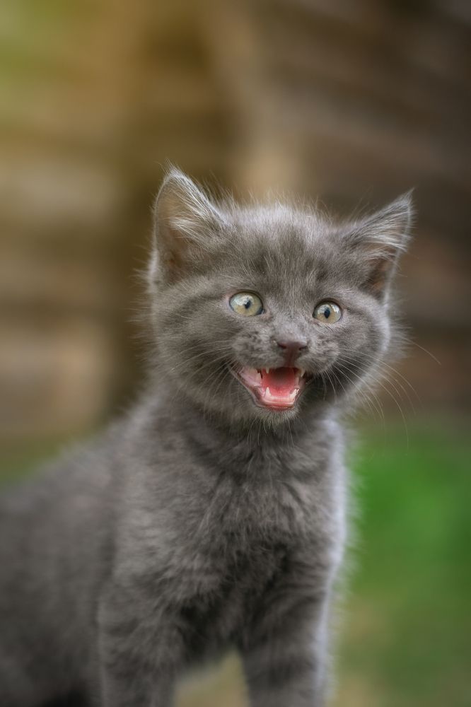 Photograph by Юлия Усенко