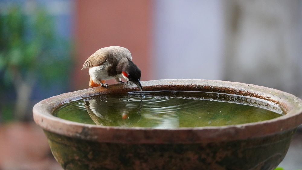 Photograph by Rudra Patel