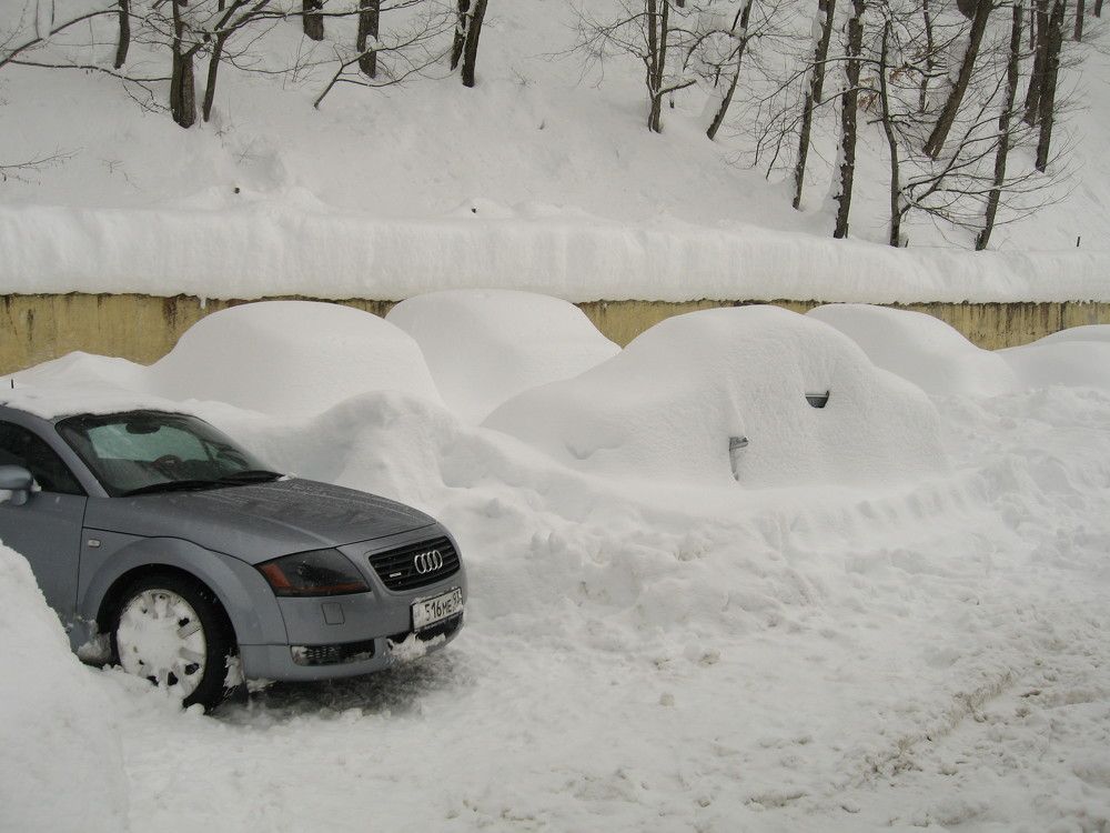 Photo #7687796