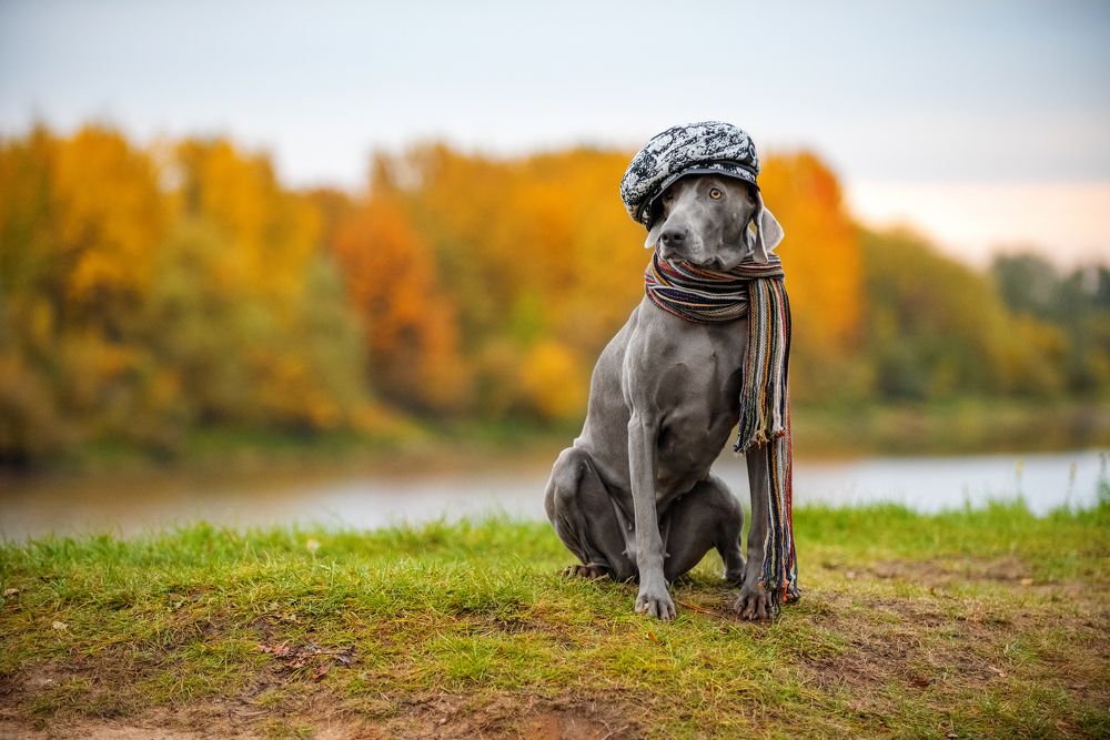 Photograph by Ромил Федоров