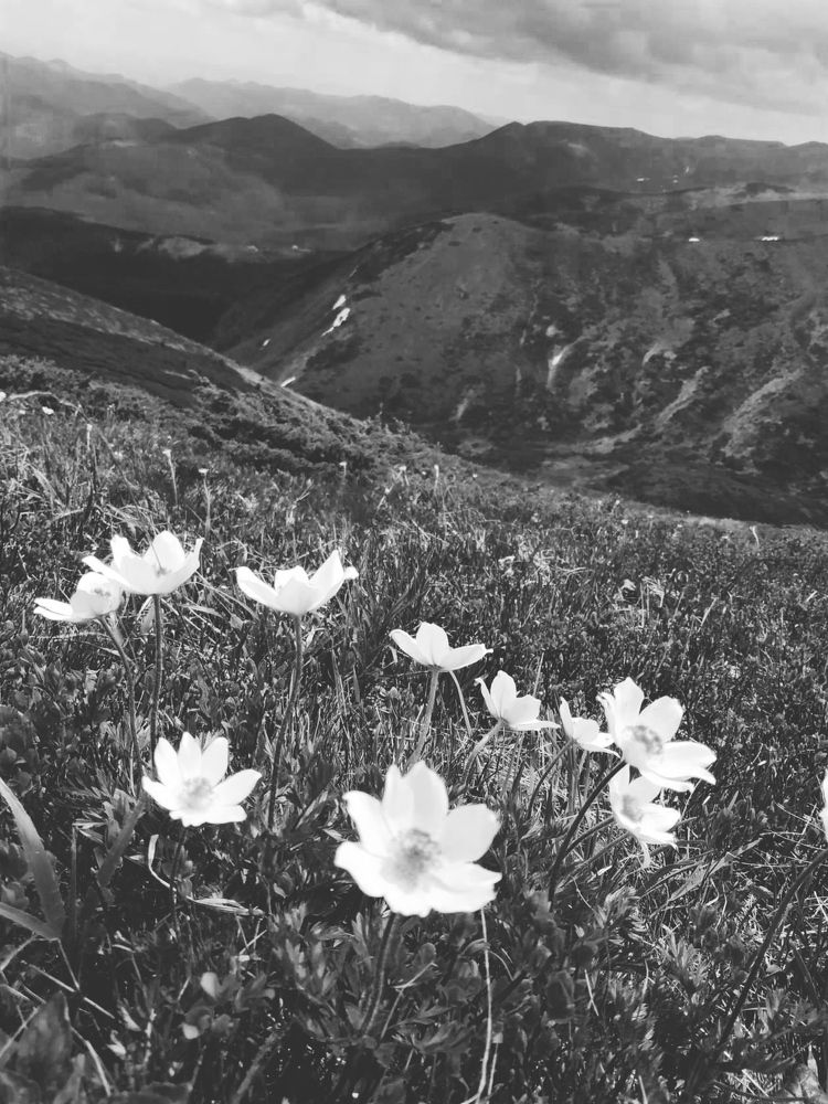 Photograph by Ольга