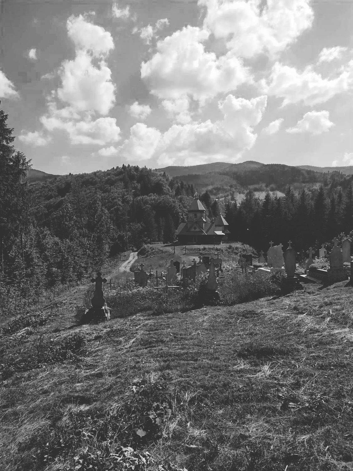 Photo #7687847