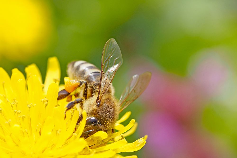 Photograph by Yana Marinova