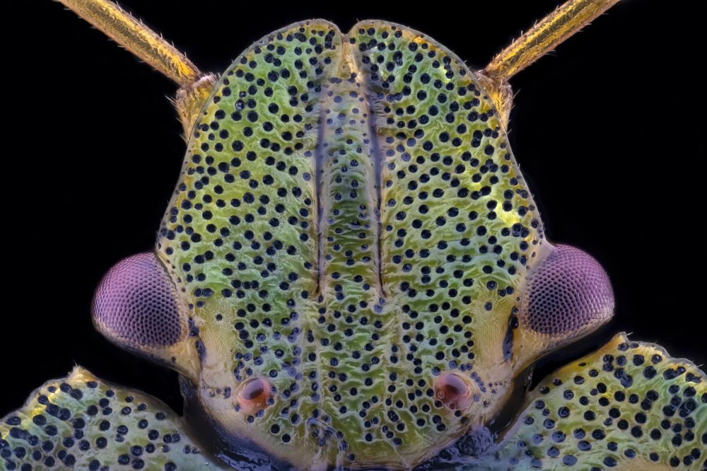 Photograph by Jayanta Bordoloi