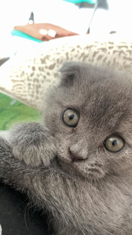 Photograph by Злата Иванченко