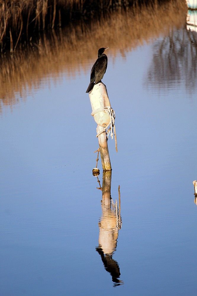 Photograph by michel Olive