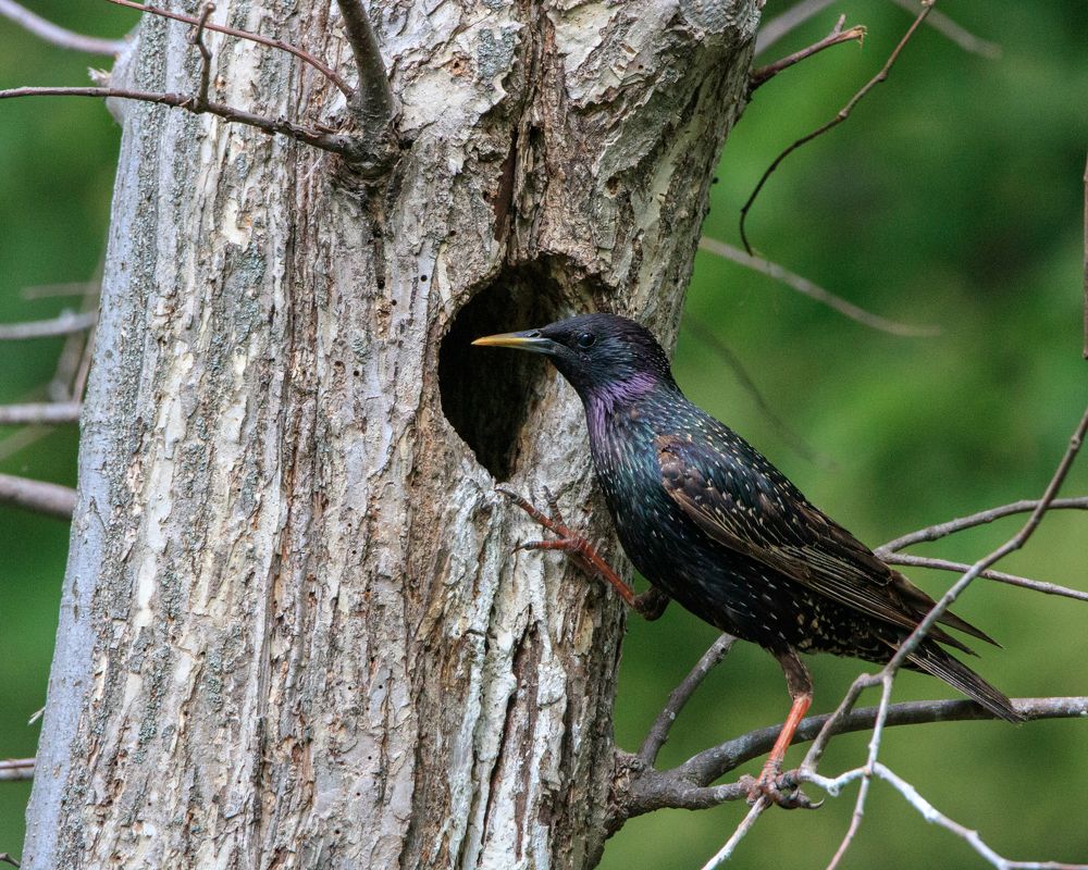 Фотография автора Сыч Римма