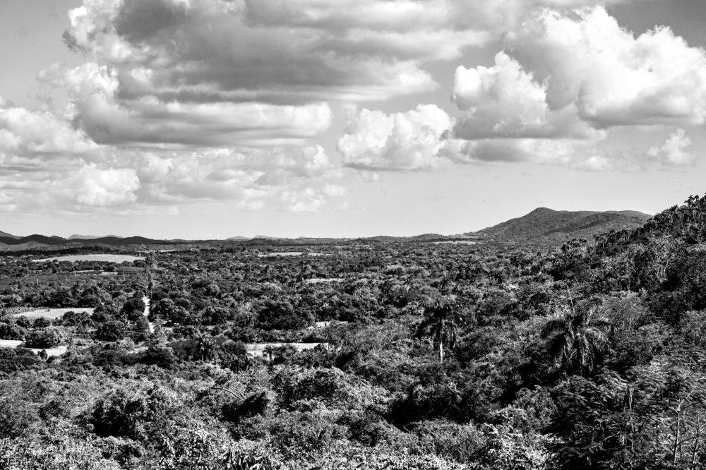 Photograph by Focus Estudio Fotográfico